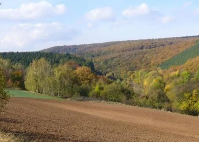 Daire Haus Feldmuehle Bad Frankenhausen